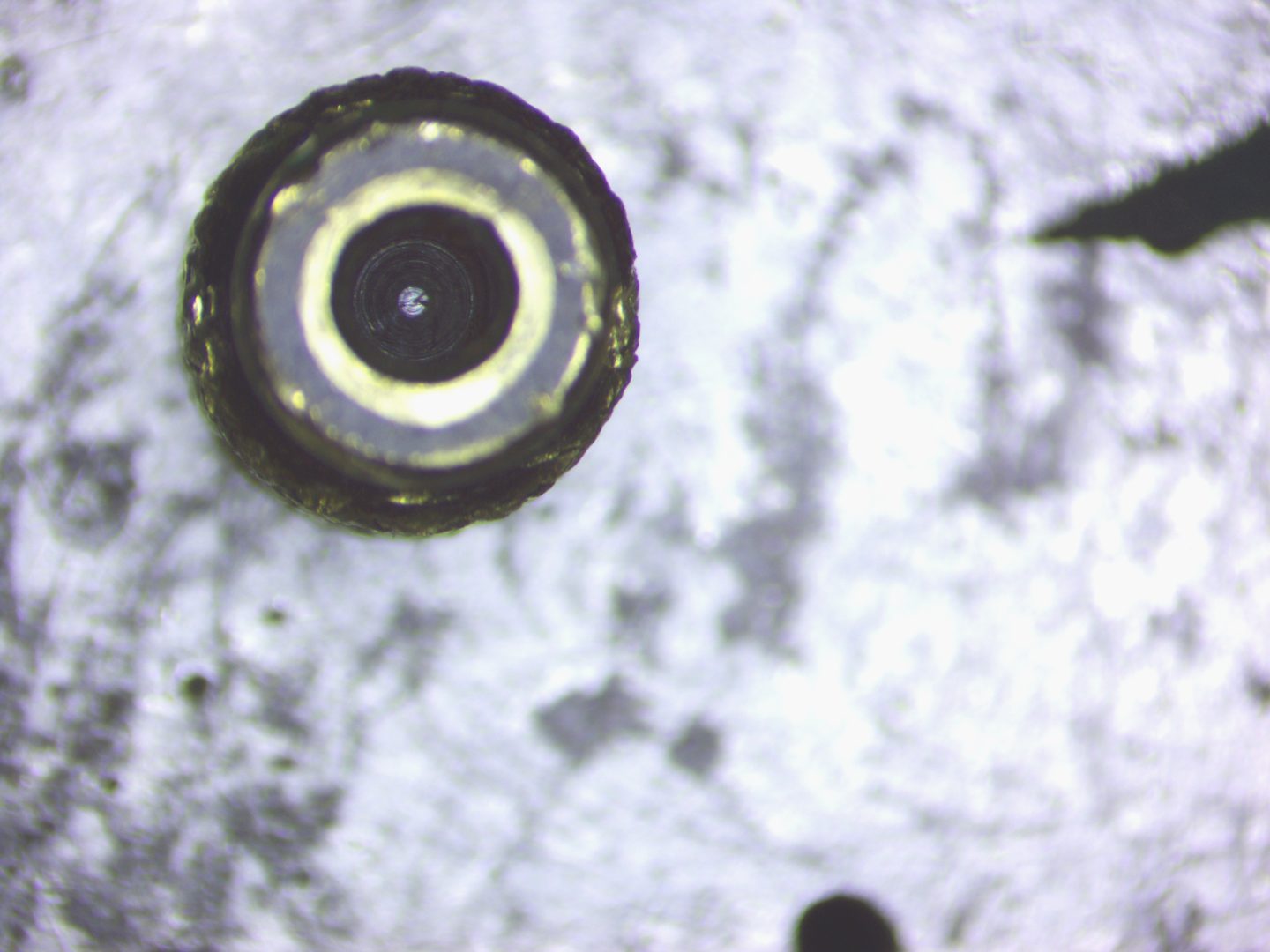 Microscope Photo 2026-09-02 17:10:32